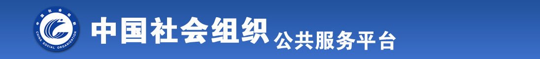 高清无码操鸡巴全国社会组织信息查询